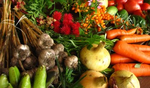 Warming foods for winter