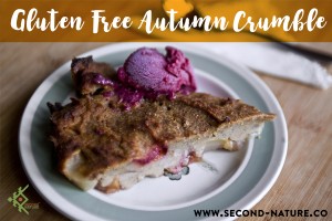 Second Nature Gluten Free Apple Crumble