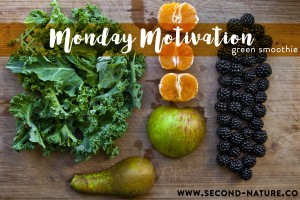 Simple Autumn Green Smoothie -Blackberry, Kale, tangerine, apple, pear