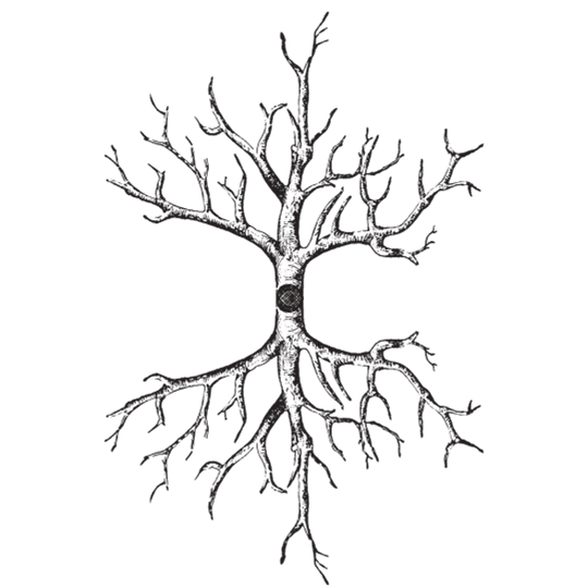 Alchemy-of-the-Divine-Feminine-Denisa-Maria-Ratulea (13)