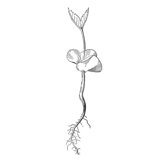 Alchemy-of-the-Divine-Feminine-Denisa-Maria-Ratulea (14)